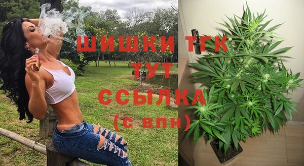тгк Абдулино
