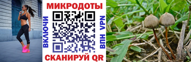 Галлюциногенные грибы GOLDEN TEACHER  Елизаветинская 